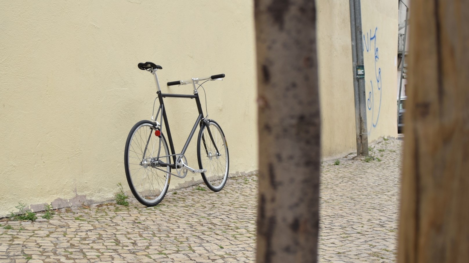 tokyobike single speed